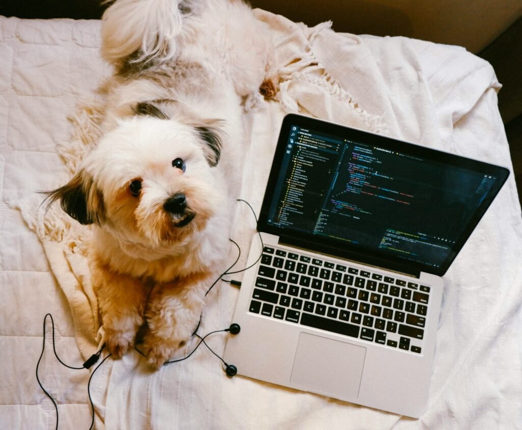 Javascript y Cookies
