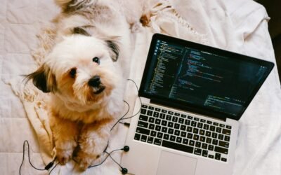 Habilita JavaScript y Cookies: Desbloquea tu Experiencia en la Web