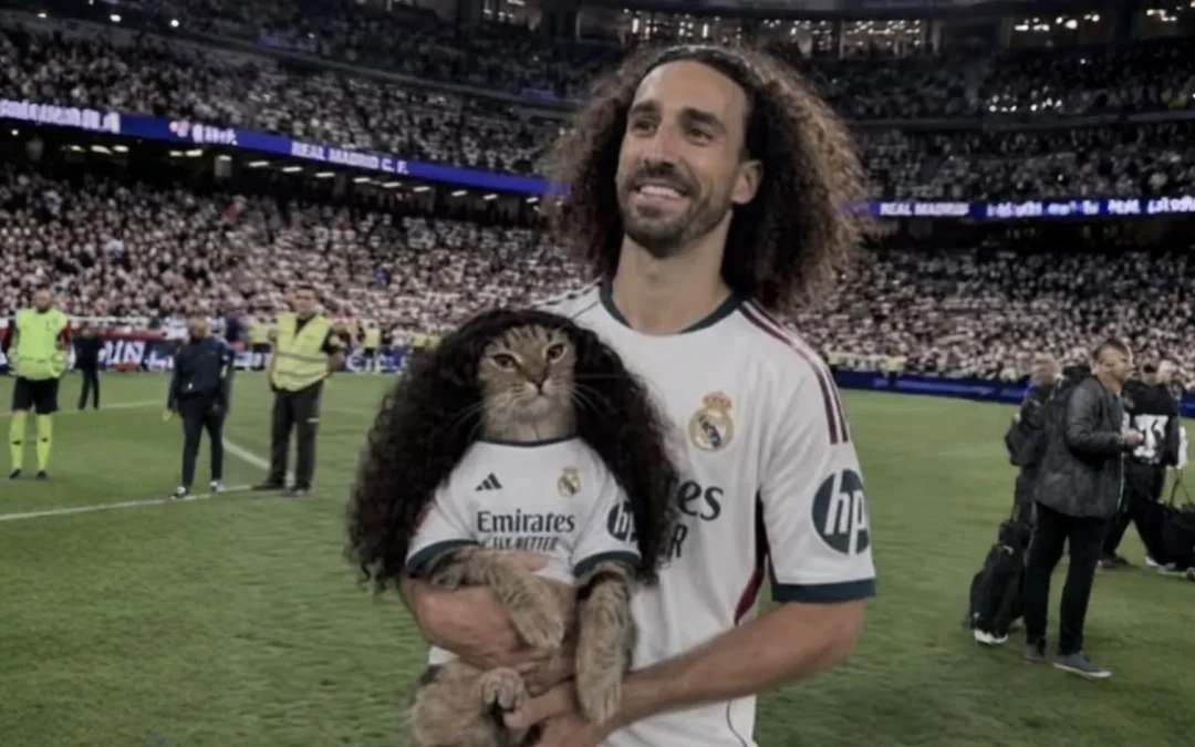 El Gato Cucurella: así nace un meme viral en redes